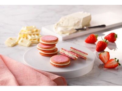 【チーズガーデン】人気焼菓子『チーズラングドシャ』初の新フレーバーが登場　“チーズ×ホワイトチョコレート...