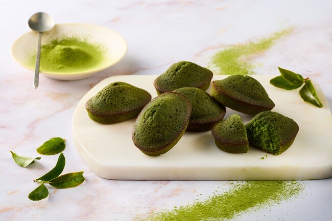 【チーズガーデン】「西尾の抹茶」のふくよかな香りと味わいがひろがる春限…