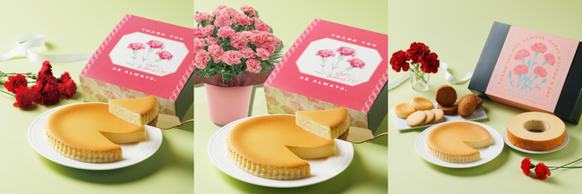 【チーズガーデン】「ありがとう」の気持ちをチーズスイーツとともにお届け…