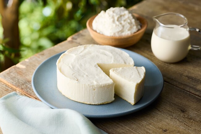 【チーズガーデン】ミルクの風味豊かな香りと柔らかな甘さが楽しめるレアチ…