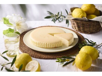 【チーズガーデン】「季節の御用邸チーズケーキ」の人気夏フレーバーがブラッシュアップ　チーズのミルキー感と風味豊かなレモンの味わい『御用邸レモンチーズケーキ』