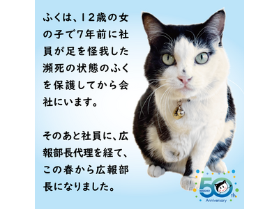 会社猫「ふく」グッズ登場。