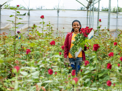 エチオピアのバラ農園で働く女性の生活環境改善を目指して「Share the Bloom」キャンペーンを実施　～美しさは力になる。咲かせよう、可能性の花。～