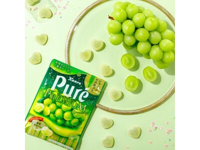 大人気フレーバーが満を持して定番商品化！ジュレ感アップでより贅沢にリニューアル　カンロ「ピュレグミプレミ...