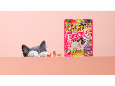 2月22日は「猫の日」！好評の猫型グミが「子猫パッケージ」で新登場カンロ 「カンデミーニャグミ」 発売