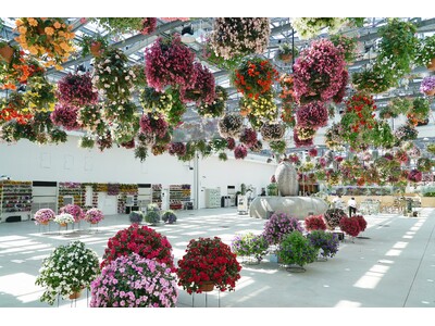 「HANA・BIYORI」6周年＆「花景の湯」2周年