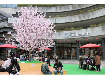 東京スカイツリータウン(R)の春イベント　地元の人気店が集まるカフェイベントも！