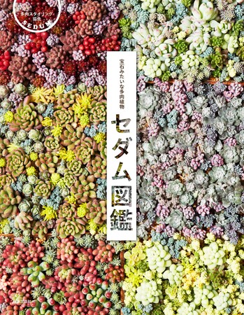 人気の多肉植物セダムに絞り込み、日本国内で流通する品種160種を収録『宝石みたいな多肉植物セダム図鑑』5/29発売