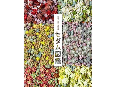 人気の多肉植物セダムに絞り込み、日本国内で流通する品種160種を収録『宝石みたいな多肉植物セダム図鑑』5/29発売
