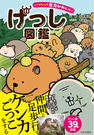 プレスリリース「マーモット、カピバラ、ハムスター、デグー！今大注目の超絶かわいいげっし類の驚きの生態を集めました！『いつだって全力かわいい げっし図鑑』5/22発売」のイメージ画像