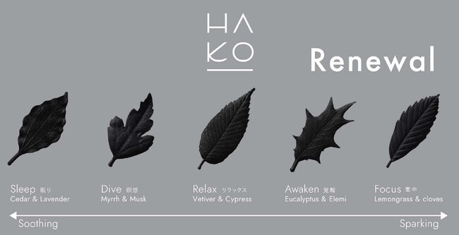 葉っぱをモチーフとした紙のお香「HA KO」、ラグジュアリー&モダンなブラックラインがリニューアルしバリエーション豊かに！