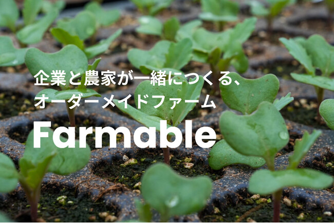 企業のニーズに合わせた畑の活用で、新たな農のモデルを構築