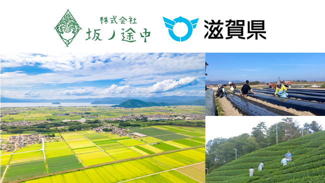 官民連携でオーガニック野菜の担い手を育成