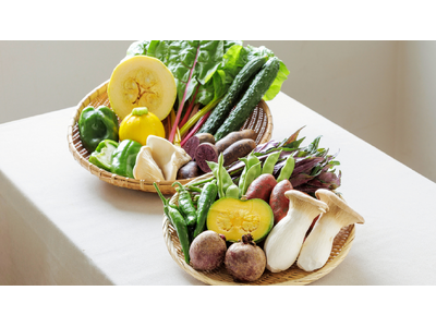 ユニークな野菜を詰め合わせた「おもしろ野菜セット」で、夏の食卓にわくわくを！