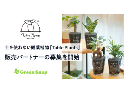 土を使わない観葉植物のD2Cブランド「Table Plants」、販売パートナーの募集を開始