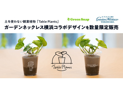 【GreenSnap】コラボデザイン登場！土を使わない観葉植物「Table Plants」ガーデンネックレス横浜コラボデザインを数量限定販売