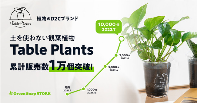 植物のd2cブランド 土を使わない観葉植物 Table Plants が累計販売数1万個を突破 記事詳細 Infoseekニュース