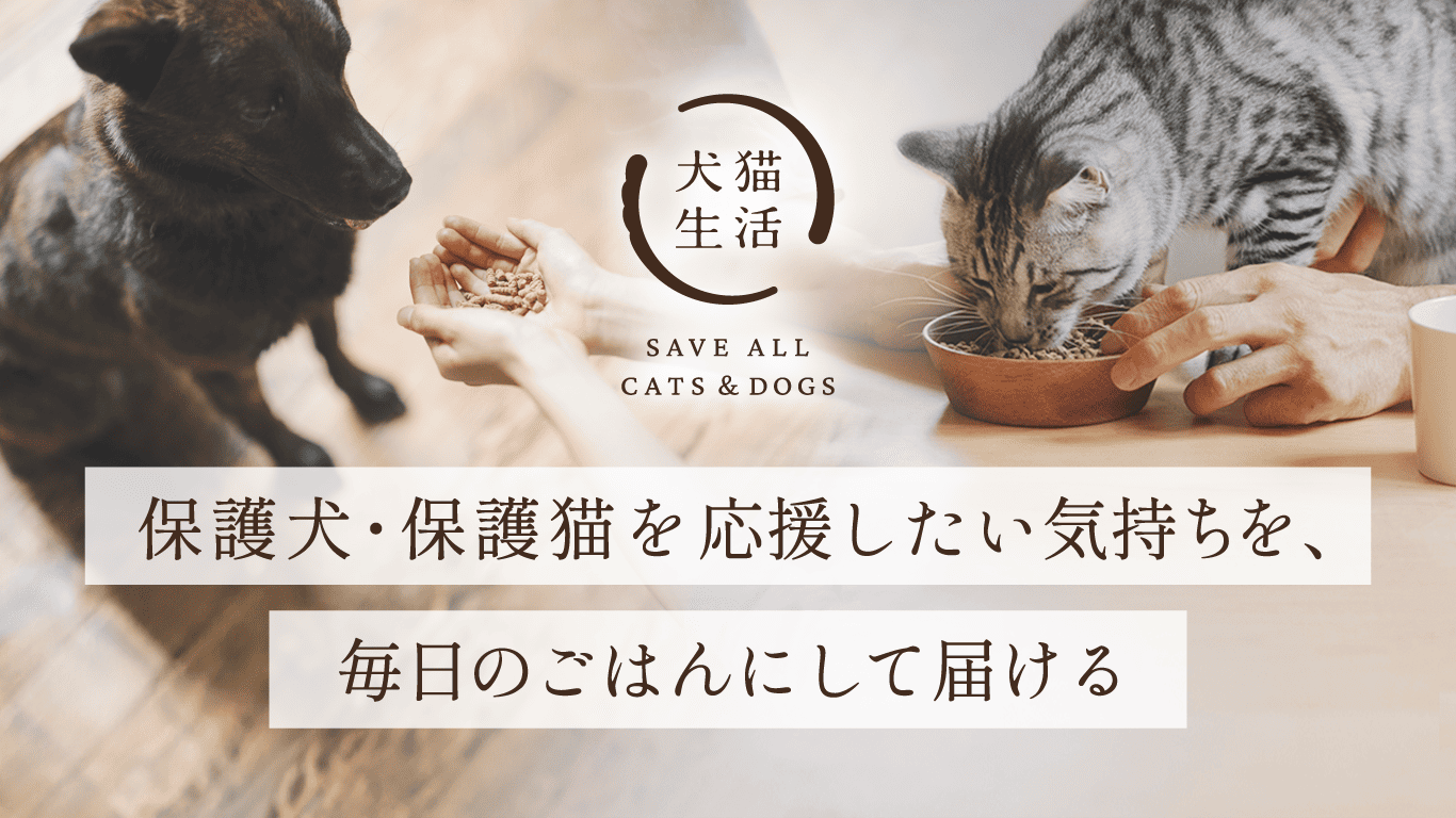 犬猫生活、個人と保護現場をつなぐ「ごはんサポーター制度」を開始…