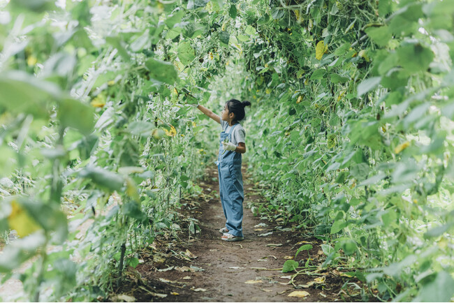 シタテルが農園リゾート「THE FARM」の館内着リニューアルを支援