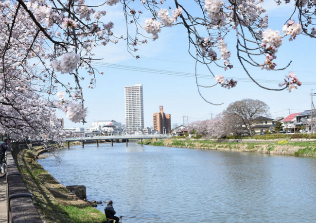 【春日部市 ふるさと納税】寄附受入額が前年比約１１倍に！