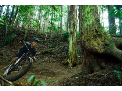 300年の森を　“飛びまわる”　“駆け抜ける”