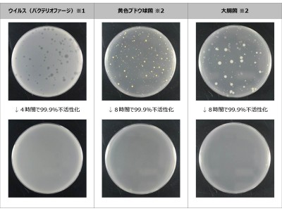 抗菌・抗ウイルス、超低臭、ゼロVOC、消臭効果を備えた室内用水性塗料『COZY PACK Air（コージーパック・エアー）』を発売