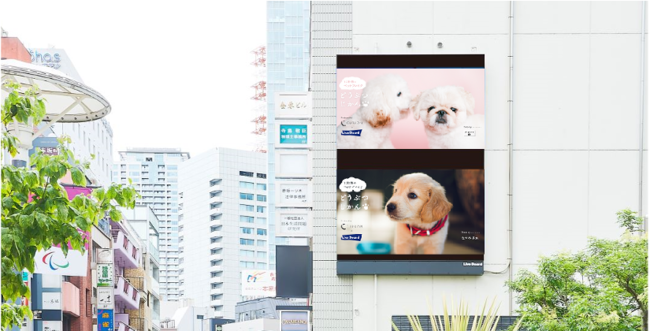 365AXŐVA[eBXgɏo Ww365GraphxSLIVE BOARDrWɂĊJ