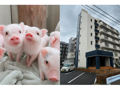 松山市でマイクロブタ・大型犬と暮らせる賃貸マンションが誕生　愛媛県初※の「マイクロブタ対応賃貸住宅」を三福管理センターが提供開始