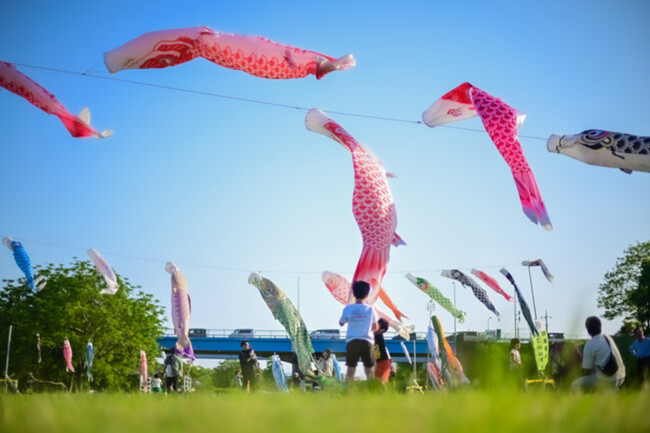 【埼玉県狭山市】GW・2026年5月3日から6日に入間川で開催！「義高の鯉のぼり」