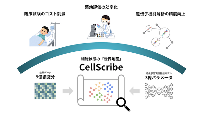 生成AIによる細胞地図が新薬の「薬効と副作用」を精密に予測