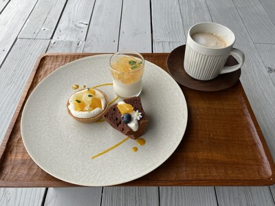 兵庫県赤穂市の塩カフェ　AMAMI TERRACEで海を眺めながるカフェタイム。「塩スイーツプレート」「レモンパフェ」を5月9日より順次新登場