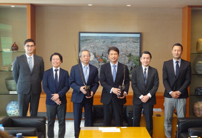 果樹生産の大規模化と省力化で農業イノベーション
