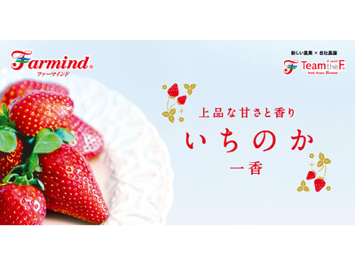 ファーマインドの自社生産いちご、香り豊かな「いちのか」2025年11月下旬より販売開始