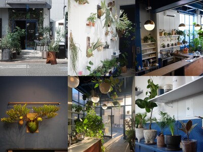 ”観葉植物とアート”をコンセプトにした「le bois Art Plants」InstagramがOPEN