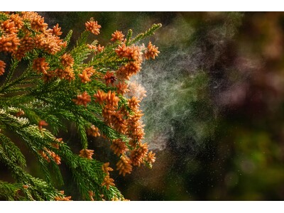 ���y����j�����ׂ�u�ԕ��Ǖ����v�Ƃ́H�z�j���U�������o�u�ԕ���ŕ@���E����݂͗}���Ă��A�g�O���_���[�W�g�͎c��i57.5%�j�v�@�`�@�ԕ��ǂɂ�� 