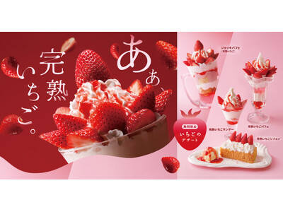 今年は新たに「完熟いちごシフォン」が登場！旬の国産いちごが増量したいちごデザート4種を1月21日（水）より販売開始