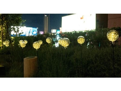 【東京23区内初】植物発電botanical light（ボタニカルライト）の常設実証実験を渋谷ヒカリエ ヒカリエデッキにて7月18日より開始