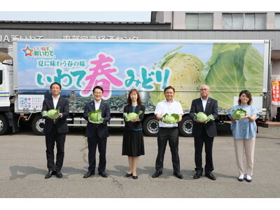 「いわて農業未来プロジェクト」が岩手県産ブランドキャベツ「いわて春みどり」に支援を開始