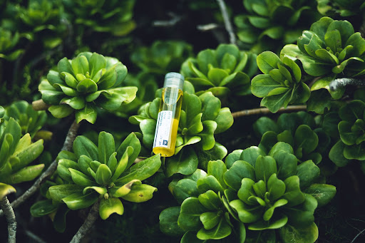 原料素材にこだわったエシカル原料美容液「unito（ユニト）」、CHOOSEBASE SHIBUYA | b8ta Japan 開催のピッチコンテストにて優秀賞を受賞