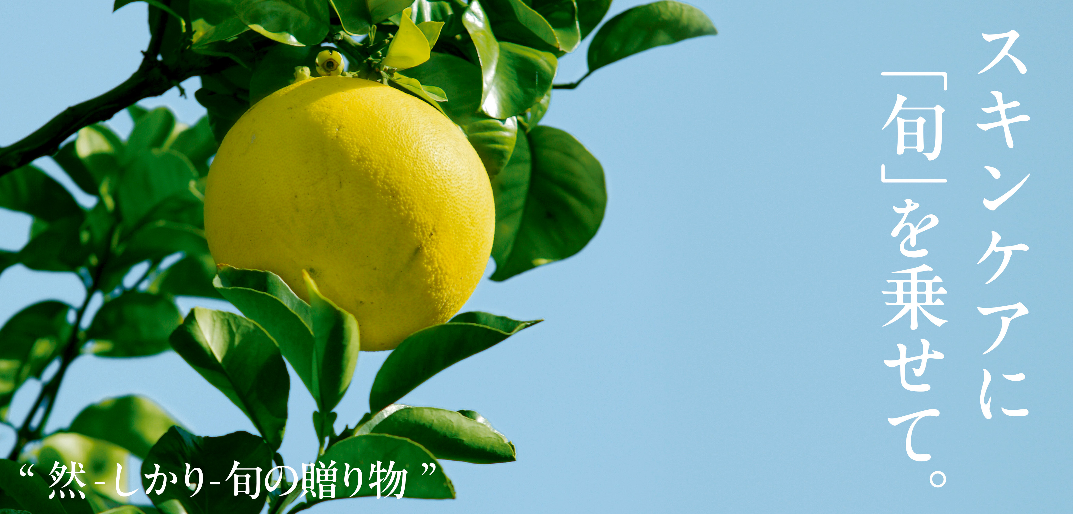 【新シリーズ始動】長寿乃里 スキンケアに「旬」を乗せて届ける『然-しかり-旬の贈り物』。第一弾となる「然 黒糖よかせっけん」がまもなく登場。