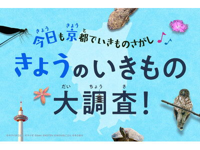 夏休み、京都市全域がいきもの探しのフィールドに。「きょうのいきもの大調査」スタート