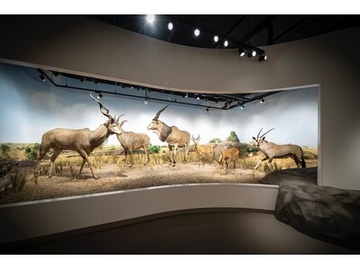 「大阪芸術大学 動物ジオラマ館『芸大Zoo』」が10月1日（水）にオープニング記念式典を経て開館！