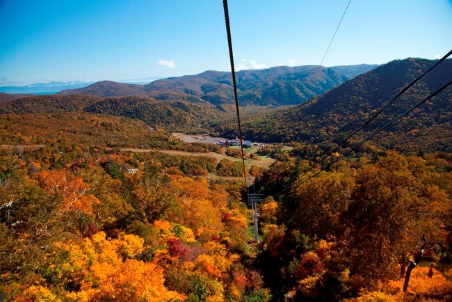 眼下に広がる壮大な紅葉の絶景を堪能！「定山渓 鶴雅リゾートスパ 森の謌」にて札幌国際スキー場「紅葉ゴンドラ」乗車引換券付き宿泊プランを販売開始