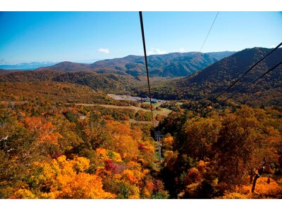 眼下に広がる壮大な紅葉の絶景を堪能！「定山渓 鶴雅リゾートスパ 森の謌」にて札幌国際スキー場「紅葉ゴンド...