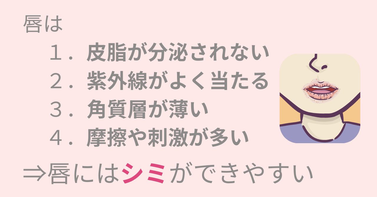 【シミ】だらけの【黒ずんだ】唇はイヤだ！そんなあなたが始めるべき唇ケア