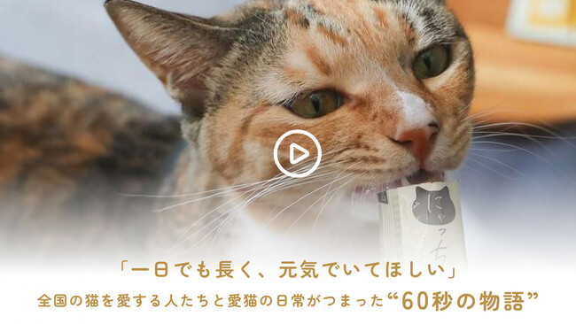 「私の1年は、きみの4年。」いつの間にか私より歳をとっていく君へ。全国の猫を愛する人たちと紡いだ“60秒の物語”公開