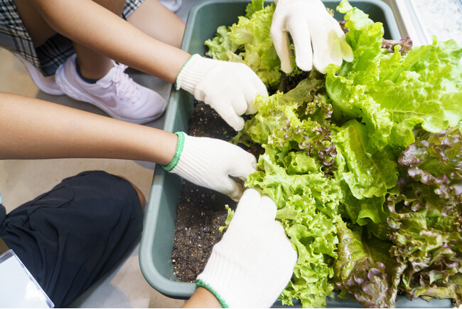 【イベントレポート】未来を育む、生物多様性の保全への一歩。「シブヤで農体験！」開催報告