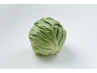 【キユーピー調査】キャベツの「生」と「加熱」で気分が変わる？キャベツを年間3.3万トン扱うキユーピーグル...