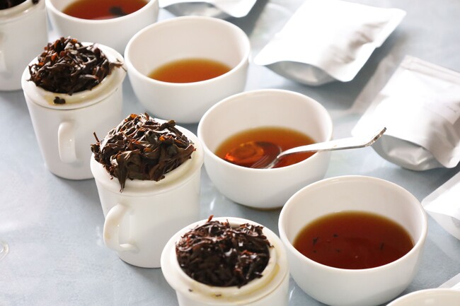 「和紅茶」がイギリスの品評会で世界一を獲得！進化する日本産の紅茶にZ世代も注目