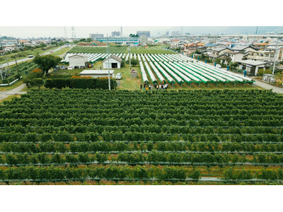 “日本ワイン”をカジュアルに楽しむ。NY発祥の「THE CITY BAKERY」が、自社農園のぶどうを「...